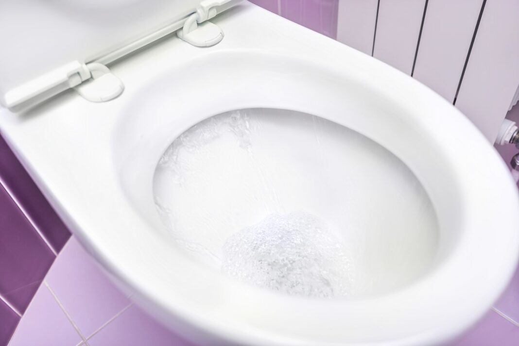 astuces de grand-mère pour détartrer et blanchir les toilettes